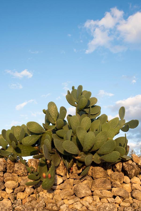 Antica Masseria Le Monache Hotel *